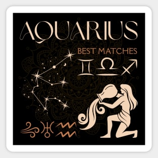 Aquarius Zodiac Compatibility Astrology Design Sticker
